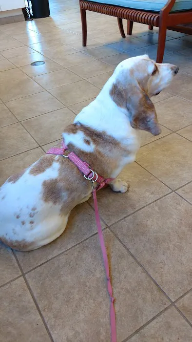 Cleveland Veterinary Clinic Picture 7