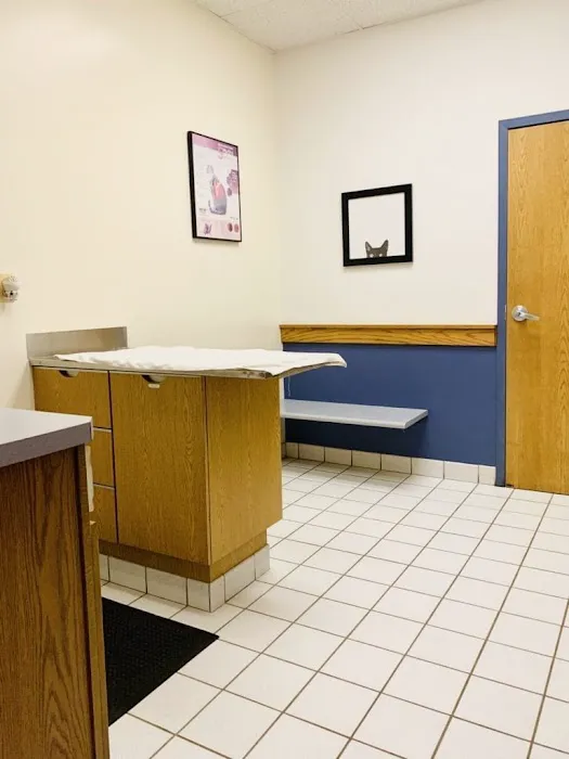 Dundee Animal Hospital of Elgin Picture 6