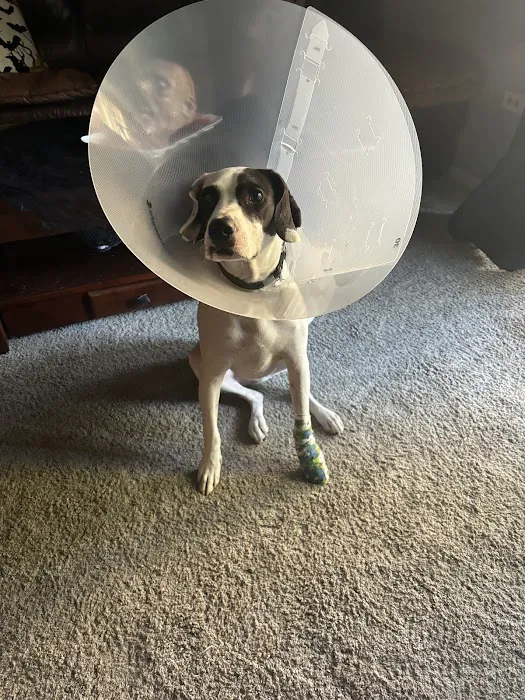 Rand Road Animal Hospital Picture 6