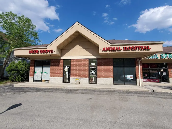 Deer Grove Animal Hospital Picture 3