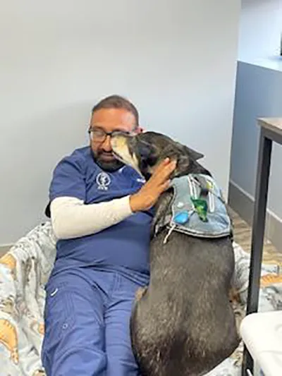 Bowes Animal Hospital – Urgent & Wellness Care Picture 9