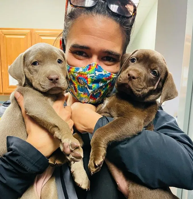 Bowes Animal Hospital – Urgent & Wellness Care Picture 10