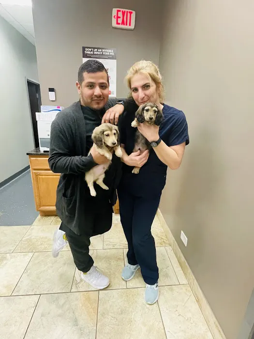 Bowes Animal Hospital – Urgent & Wellness Care Picture 7