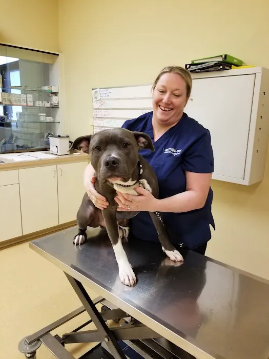 South Town Animal Hospital Picture 7
