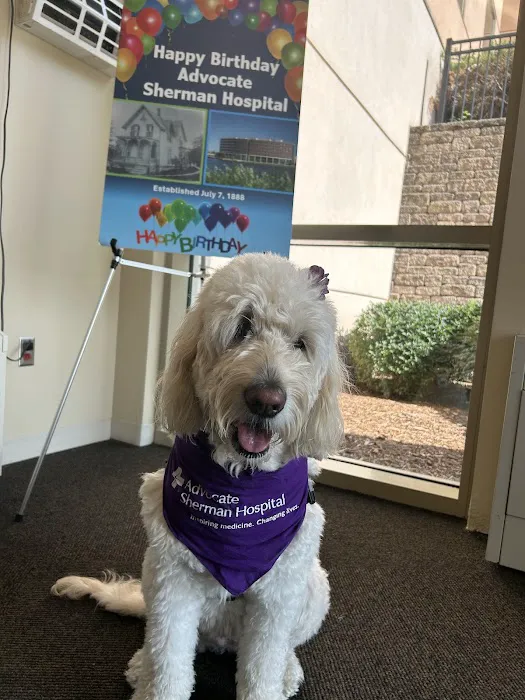 Banfield Pet Hospital Picture 3