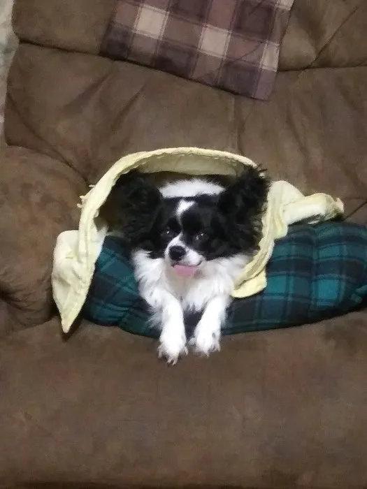 Banfield Pet Hospital Picture 5