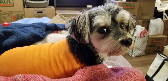 Banfield Pet Hospital Picture 8