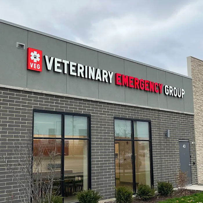 Veterinary Emergency Group Picture 9
