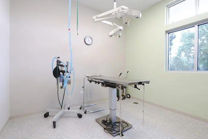 Animal Care Center of Buffalo Grove Picture 6