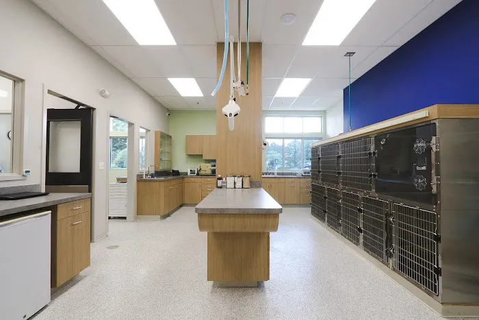 Animal Care Center of Buffalo Grove Picture 5
