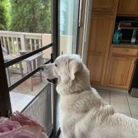River Trails Animal Hospital ico