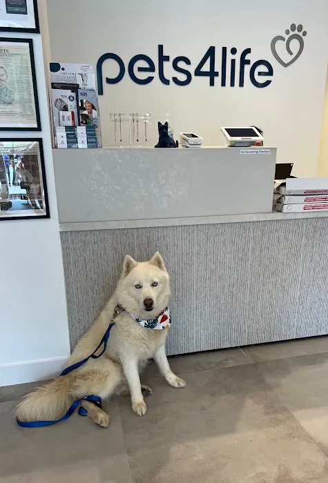 Pets4Life Picture 3