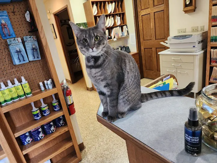 Smokey Point Animal Hospital Picture 8