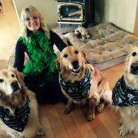 Advanced Care Animal Clinic ico