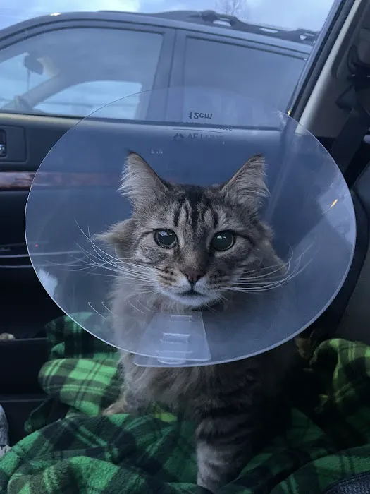 Advanced Care Animal Clinic Picture 7