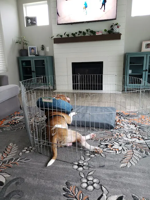 Family Pet Medical & Surgery Picture 2