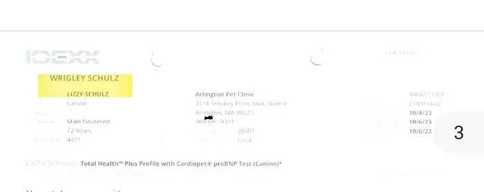 Arlington Pet Clinic Picture 1