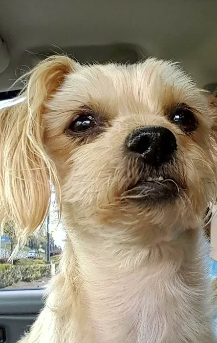 Arlington Pet Clinic Picture 2