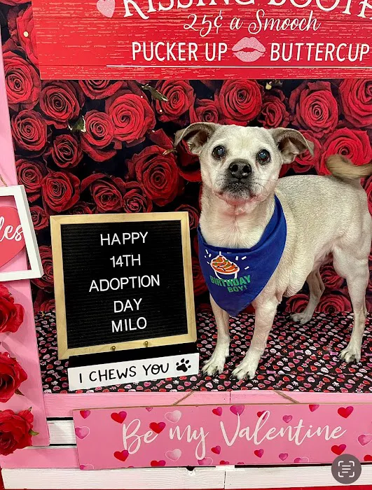Arlington Pet Clinic Picture 5