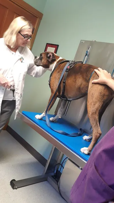 Oak Bay Animal Hospital Picture 5