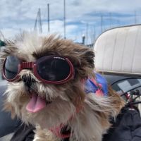 Hadlock Veterinary Clinic ico