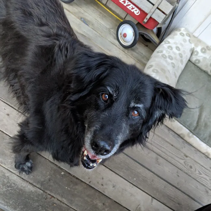 Hadlock Veterinary Clinic Picture 9