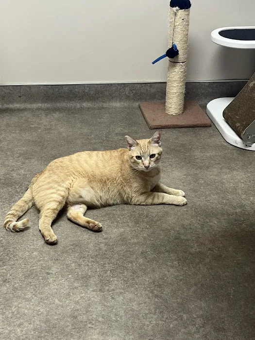 Chimacum Valley Veterinary Hospital Picture 4