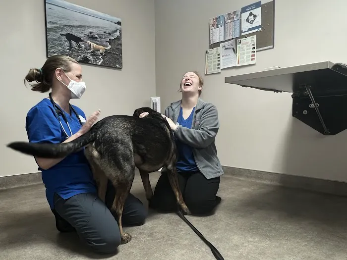 Chimacum Valley Veterinary: Nathan Robert DVM Picture 1