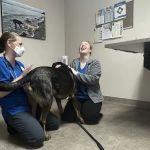 Chimacum Valley Veterinary: Nathan Robert DVM