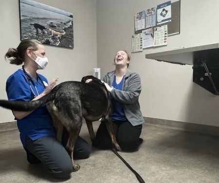 Chimacum Valley Veterinary: Nathan Robert DVM