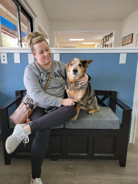 Tender Touch Animal Hospital Picture 1