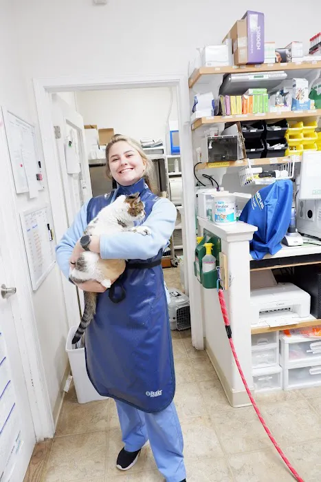 Tender Touch Animal Hospital Picture 2