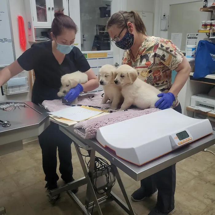 Tender Touch Animal Hospital Picture 9