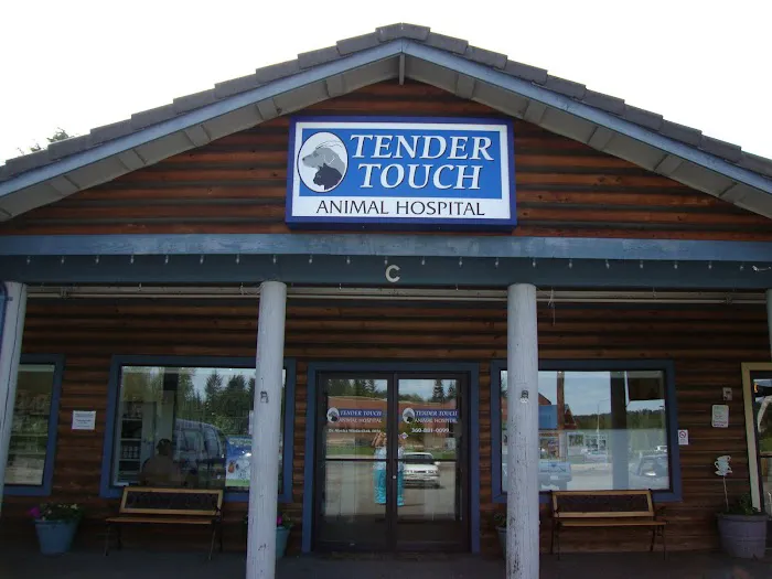 Tender Touch Animal Hospital Picture 8
