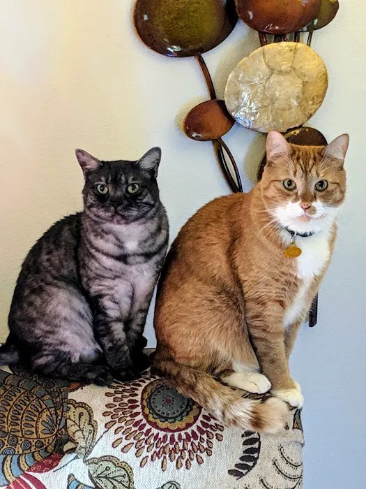 Nisqually Veterinary Clinic Picture 1