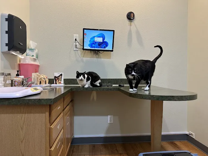 Nisqually Veterinary Clinic Picture 3