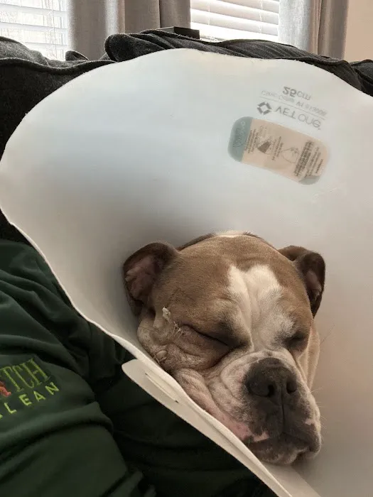 Nisqually Veterinary Clinic Picture 5