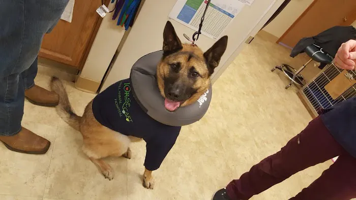 Nisqually Veterinary Clinic Picture 8