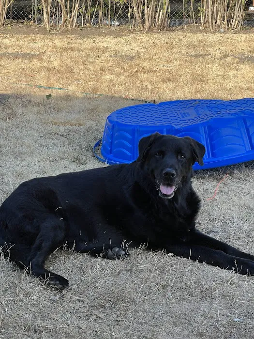 Bloom Pet Hospital Picture 7
