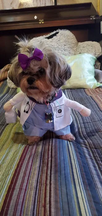 Bloom Pet Hospital Picture 3