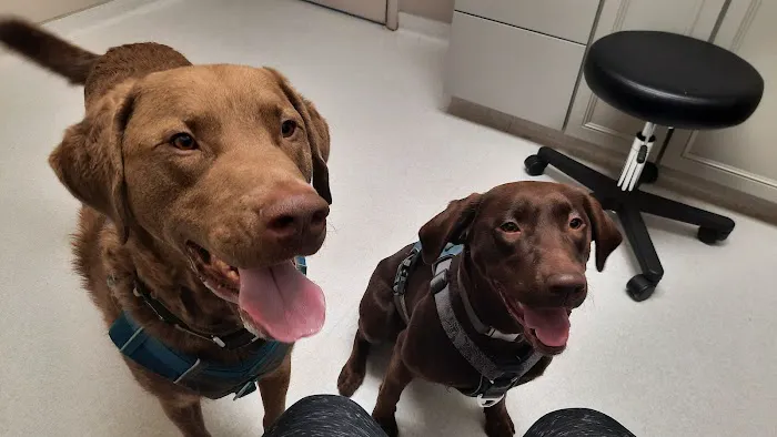 Yelm Veterinary Hospital Picture 1
