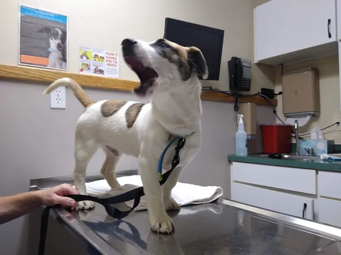 Yelm Veterinary Hospital Picture 3