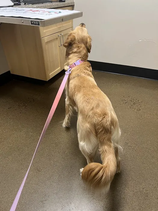 Dupont Veterinary Center Picture 3
