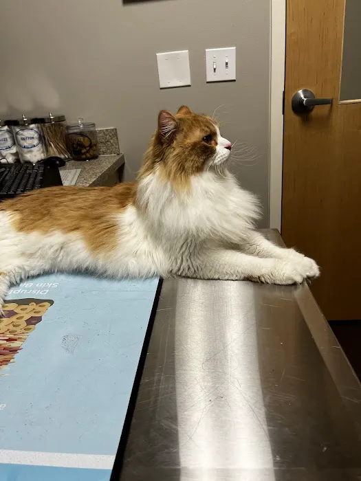Dupont Veterinary Center Picture 2