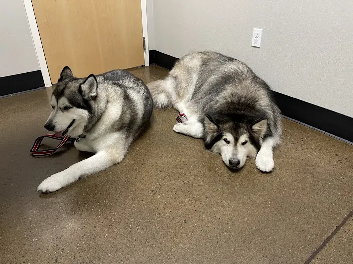 Dupont Veterinary Center Picture 9