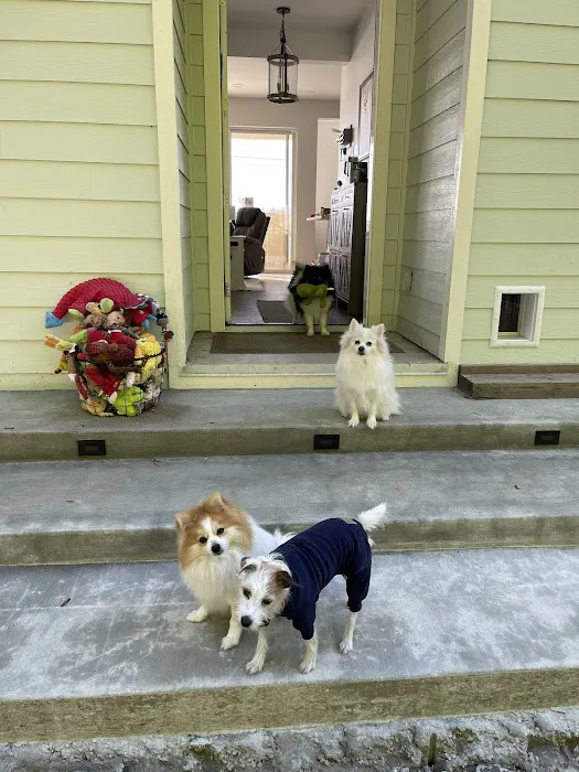Kitsap Veterinary Hospital Picture 3