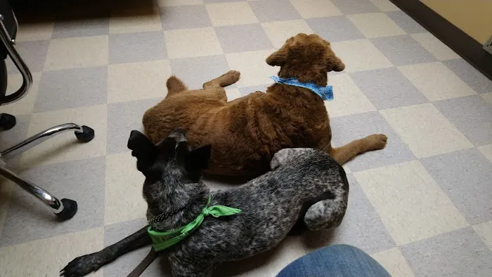 Kitsap Veterinary Hospital Picture 6