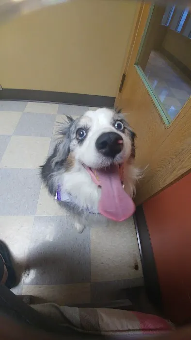 Kitsap Veterinary Hospital Picture 9