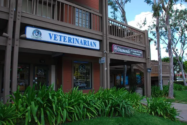 VCA Irvine Boulevard Animal Hospital Picture 5