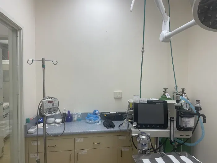 VCA Irvine Boulevard Animal Hospital Picture 4
